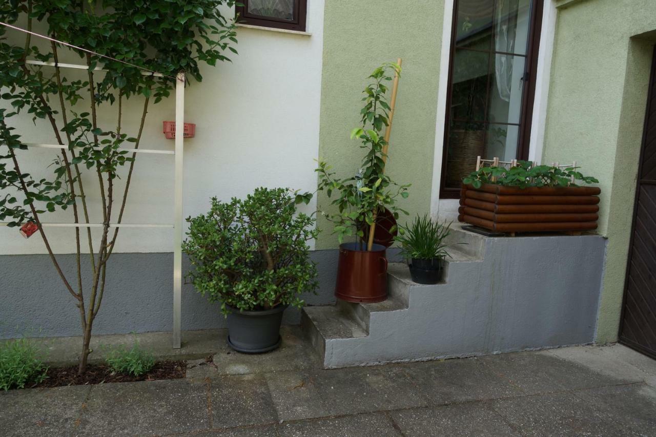 Zur Weinlaube Vakantiehuis *